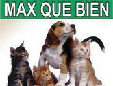 Fotos de Tienda Veterinaria Max“Que Bien”
