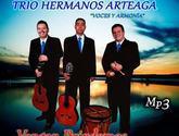 Fotos de Trio Hermanos Arteaga Grupo Musical