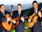 Fotos de Trio Los Genuinos Medellin