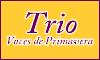 Fotos de Trio Voces De Primavera