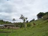 Fotos de Vendo Finca La Plata Huila