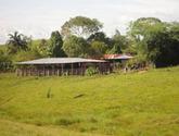 Fotos de Venpermuto Finca Pitalito Huila