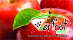 Fotos de Verfrut Express