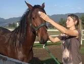 Fotos de Veterinaria Alternativa
