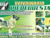 Fotos de Veterinaria Piedecuesta