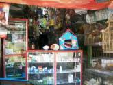 Fotos de Veterinaria Y Agropecuaria La Antioqueñita
