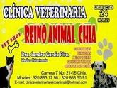 Fotos de Veterinarias En Chia Reino Animal