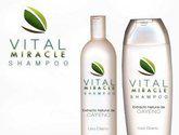 Fotos de Vital Miracle Ltda