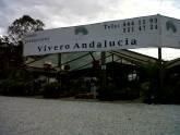 Fotos de Vivero Andalucia