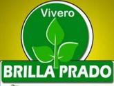 Fotos de Vivero Brilla Prado