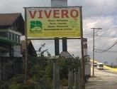 Fotos de Vivero Casa Verde Cajicá.