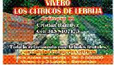 Fotos de Vivero Citricos De Lebrija