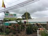 Fotos de Vivero Colombia Verde En Chia