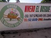 Fotos de Vivero El Bosque Sai S.a.s