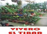 Fotos de Vivero El Tibar