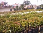 Fotos de Vivero Forestmar