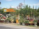Fotos de Vivero Jardines Primavera