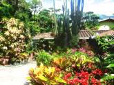 Fotos de Vivero La Margarita Copacabana
