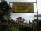 Fotos de Vivero Organico San Isidro