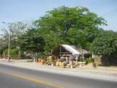 Fotos de Vivero Pozos Colorados