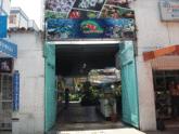 Fotos de Vivero Y Artesanias Plantas Verdes