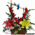 Fotos de Vivero Y Floristeria Leidy