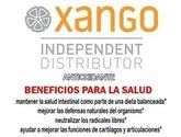 Fotos de Xango Colombia