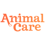 Fotos de Adiestramiento Canino - Animal Care