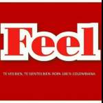 Fotos de Almacen Feel
