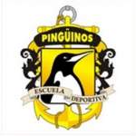 Fotos de Escuela De Natación Pinguinos
