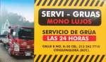Fotos de Gruas Chiquinquirá - Servigrúas Mono Lujos