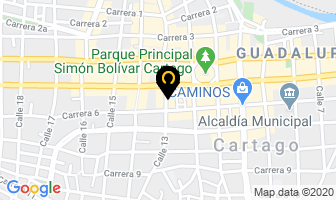 Mapa de Agrobolsas en Cartago