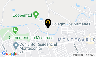 Mapa de Colegio Los Samanes en Ibagué