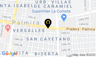 Mapa de Dismoda en Palmira
