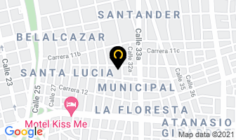 Mapa de Fuel Injection Automotriz en Cali