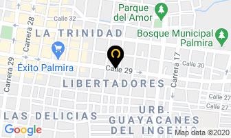 Mapa de Induspoli en Palmira