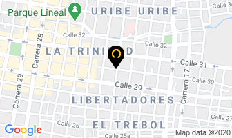 Mapa de Jaime Toro Peña en Palmira