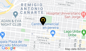 Mapa de Los Profesionales en Pereira