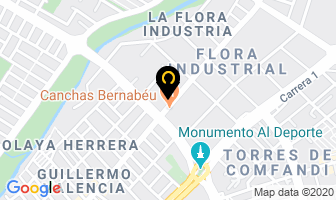 Mapa de Manejo Técnico De Información S.a. en Cali