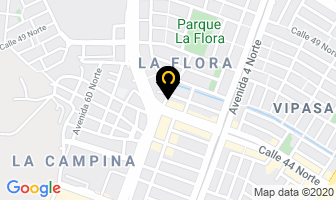 Mapa de Marketing Profesional Services en Cali