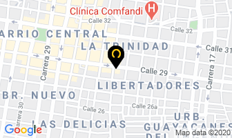 Mapa de Miscelanea La 29 en Palmira