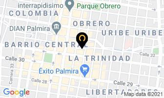 Mapa de Natural Word en Palmira