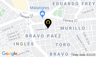 Mapa de Proteccion Industrial Y Comercial en Bogotá D.C