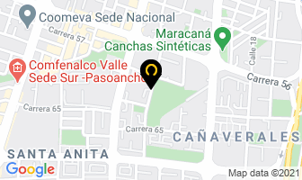 Mapa de Representaciones Internacionales en Cali