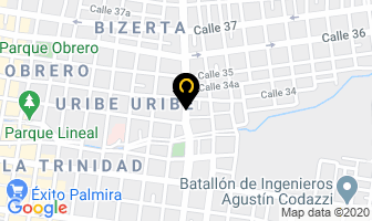 Mapa de Salsamentaria Exito en Palmira