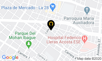 Mapa de Servicio De Turbo Transporte en Ibagué