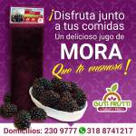 Fotos de Pulpas De Frutas Guti Frutti