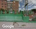 Foto exterior de Alquiler Cargador Bobcat