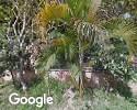 Foto exterior de Canopolis Veterinaria