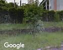 Foto exterior de Dibujo 3d Renders